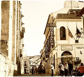 Guest house El Triunfo 2*